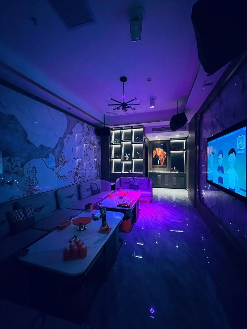 大兴安岭商务ktv独享商机-塔河县ktv预定